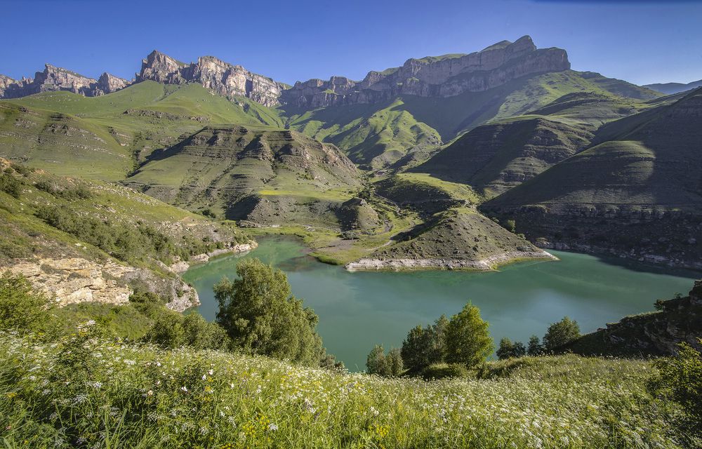 Прекрасное и опасное