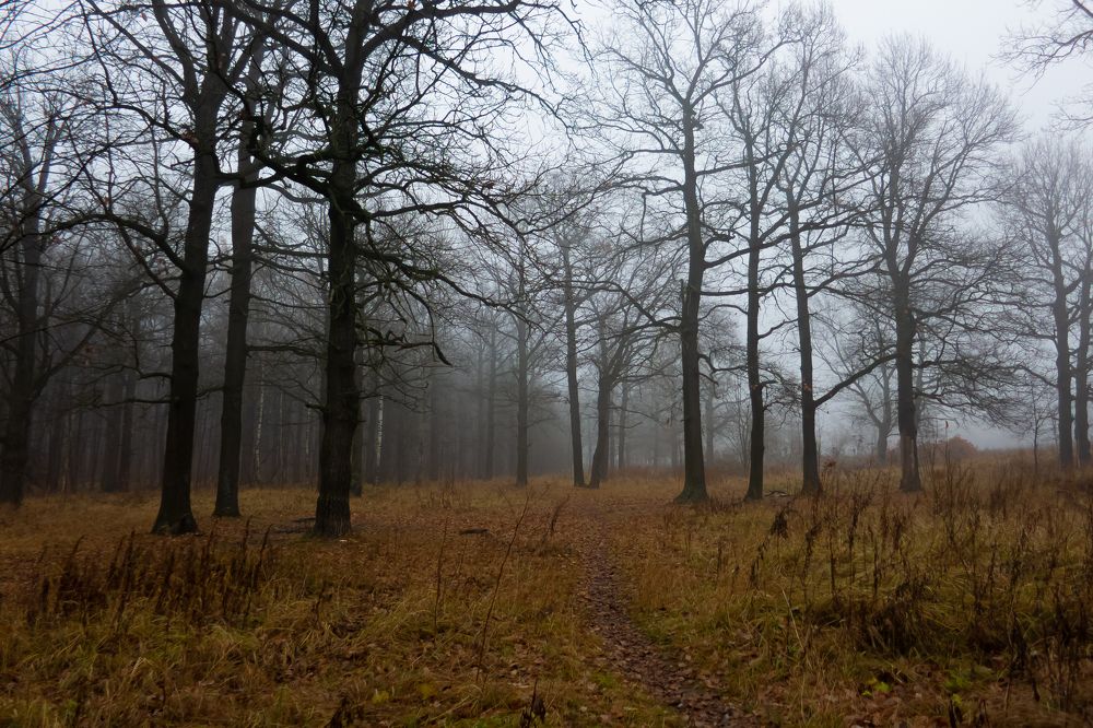 Photograph by Никита