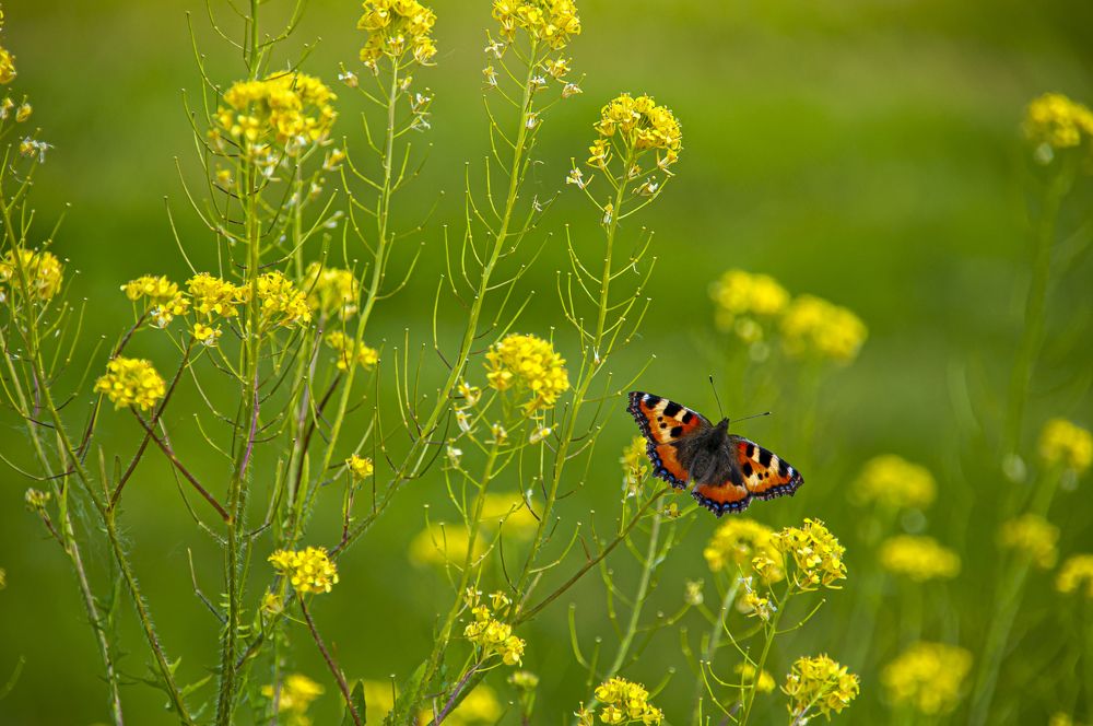 Photograph by Никита