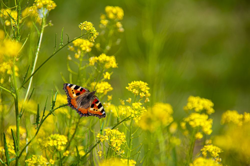 Photograph by Никита