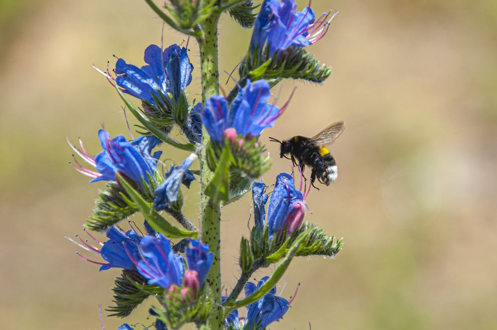 Photograph by Никита