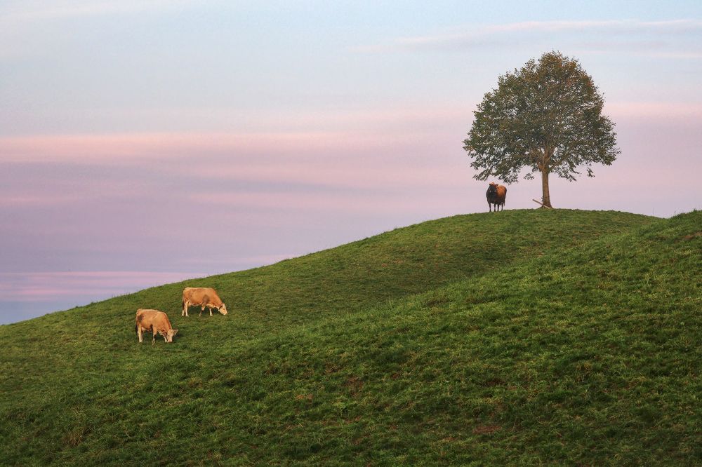 Photograph by Галина Хвостенко