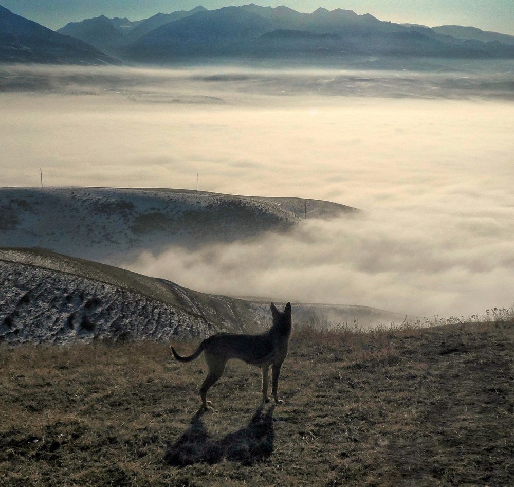 Photograph by Орынбек Асилбаев