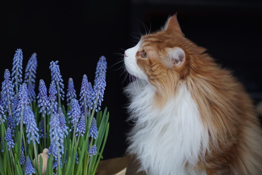 Photograph by Liubov Lagutina