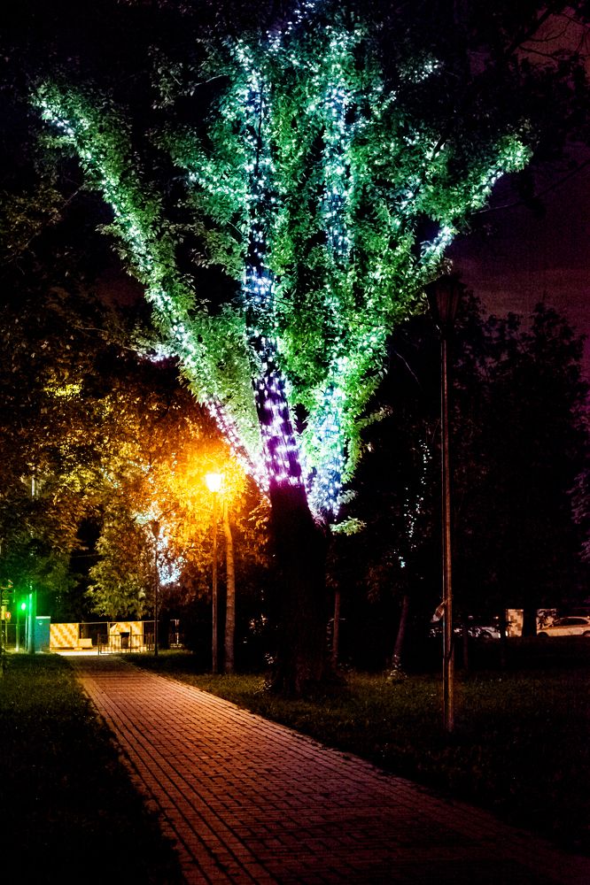 Photograph by Артём Александрович