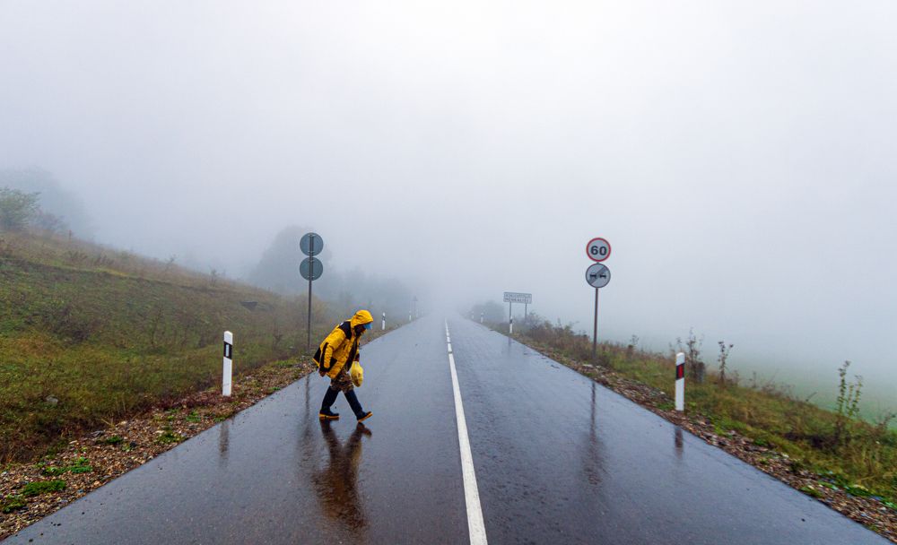 Photograph by Alex Kalpus