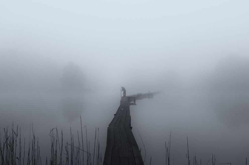 Morning at the fish farm