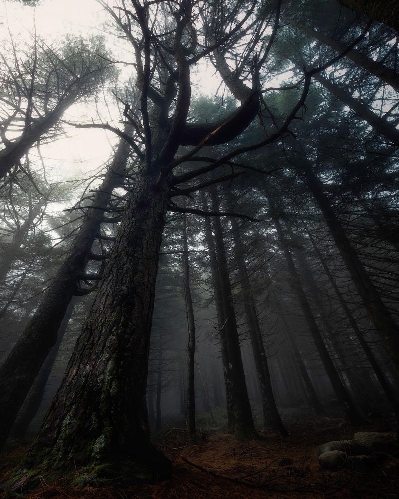 Photograph by Marco Pintore