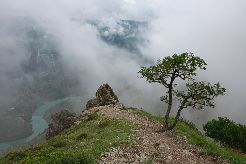 Photograph by Алексей Верзун