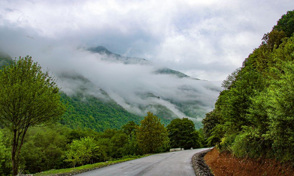 Photograph by Alex Kalpus