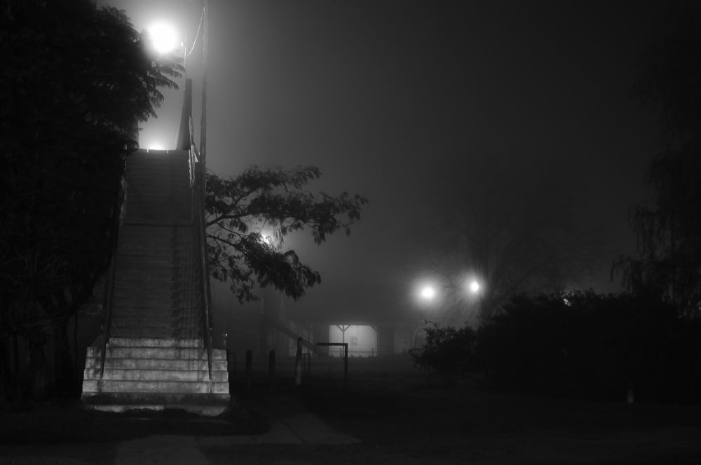 Photograph by Ricardo Kimmich