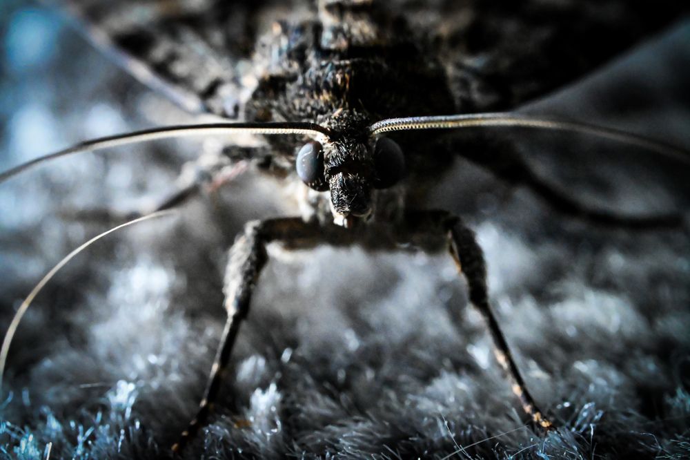 Фотография автора Ola La