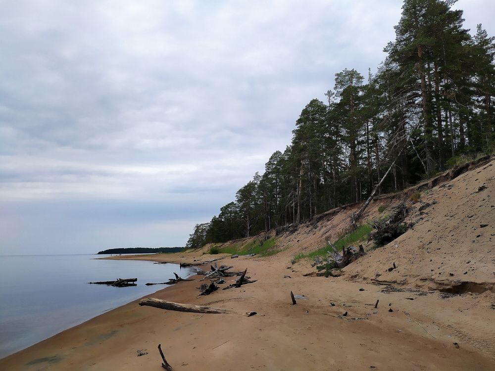 Photograph by Юлия Смирнова