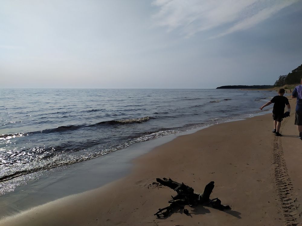 Фотография автора Юлия Некрасова
