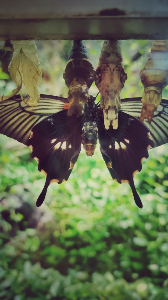 Photograph by Наталья Калюнова