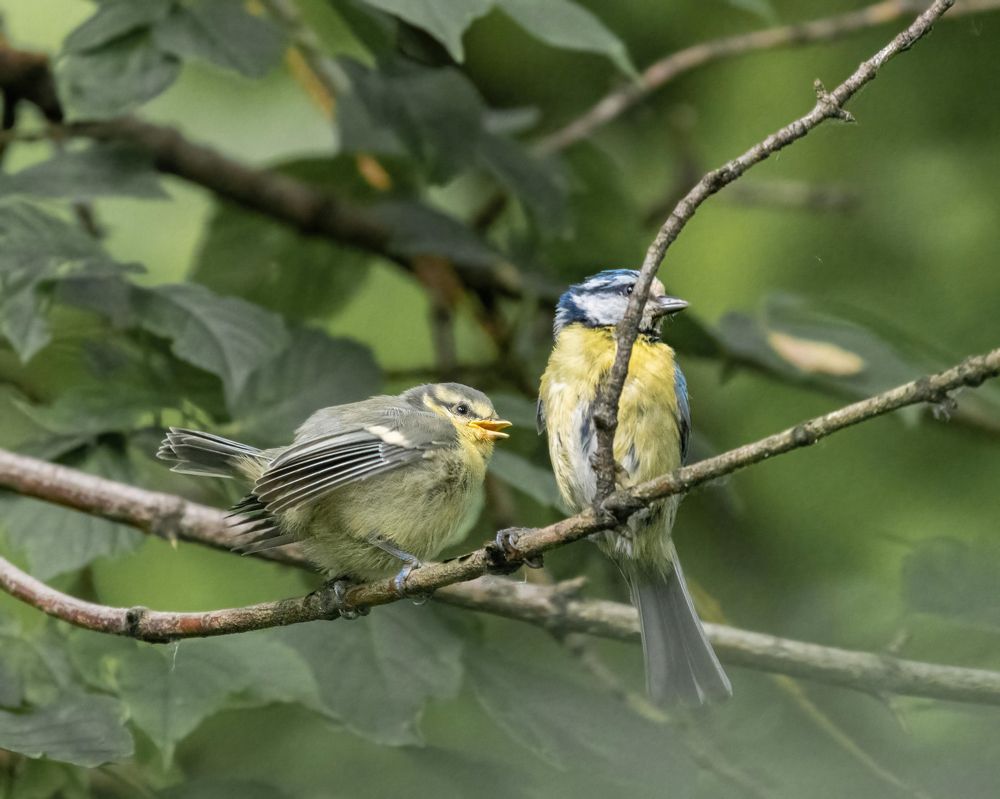 Фотография автора Котов Андрей