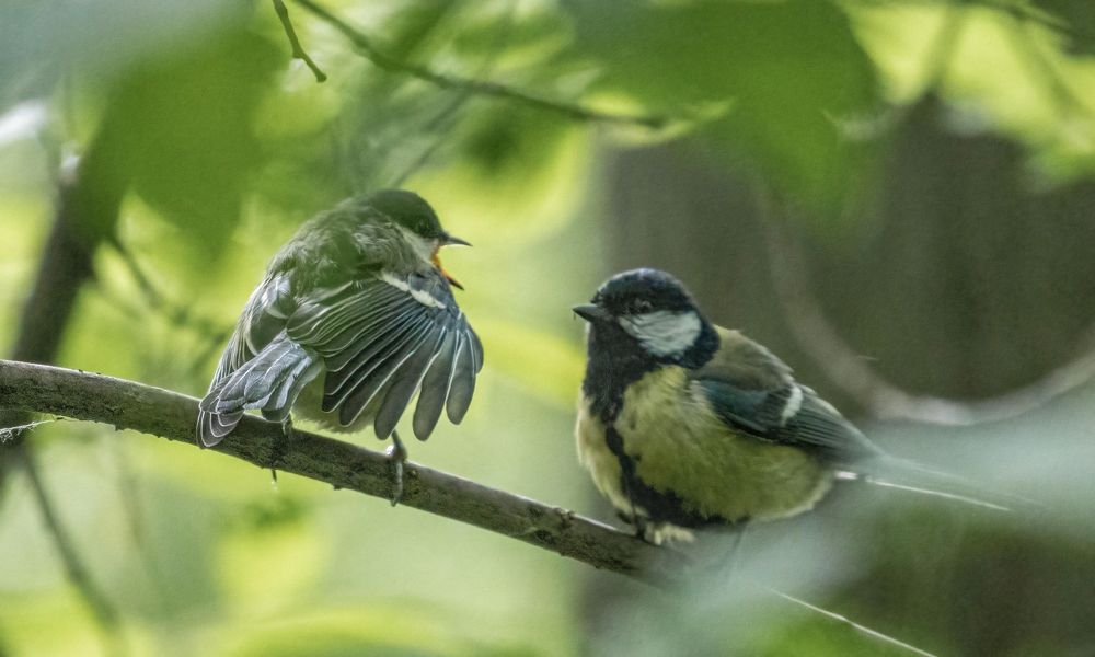 Фотография автора Котов Андрей