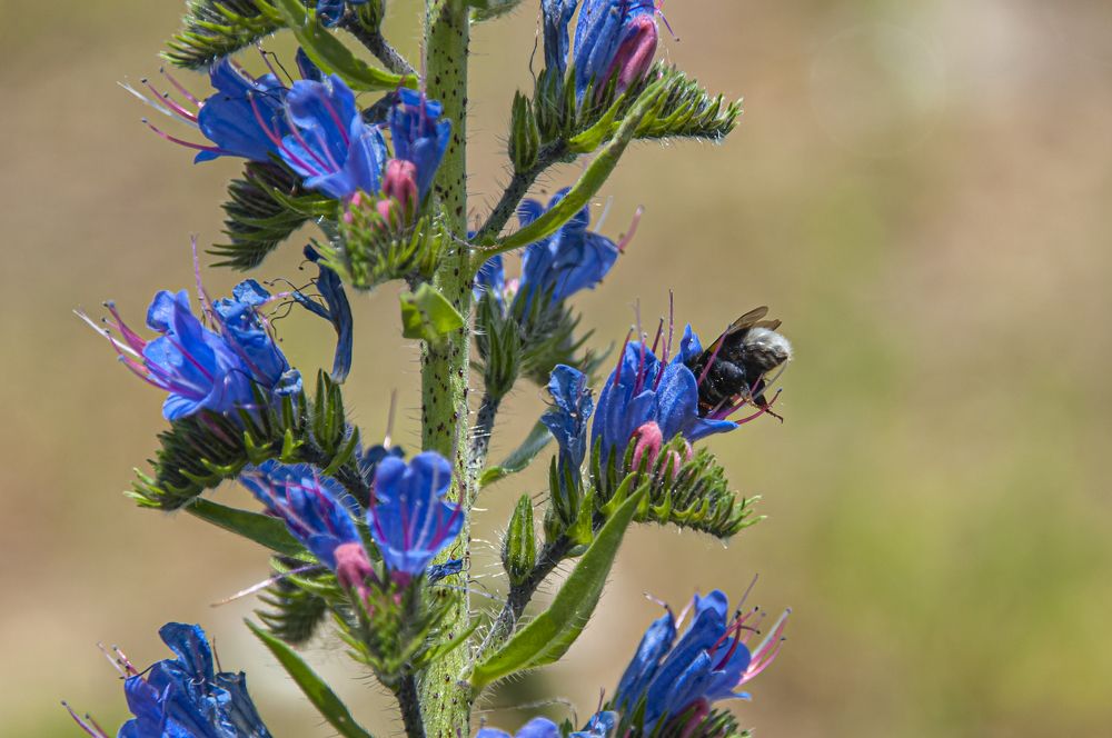 Photograph by Никита