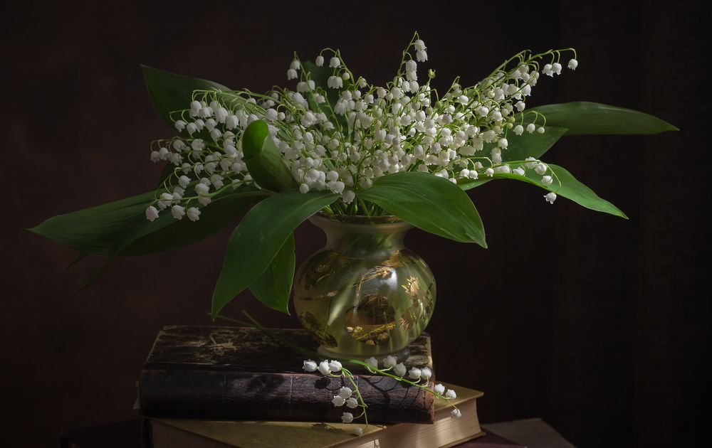 Photograph by Хвойнова Елена