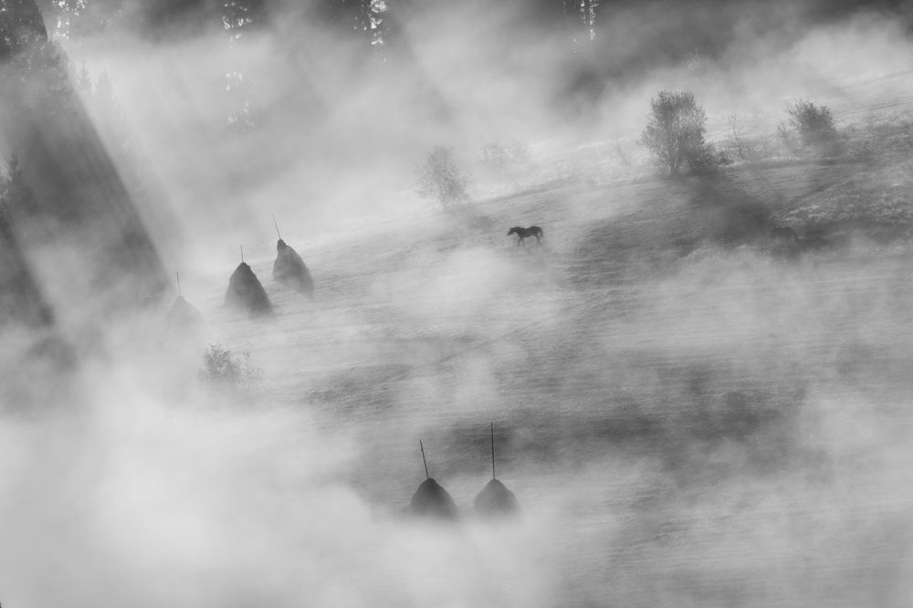 Photograph by Крицак Ольга