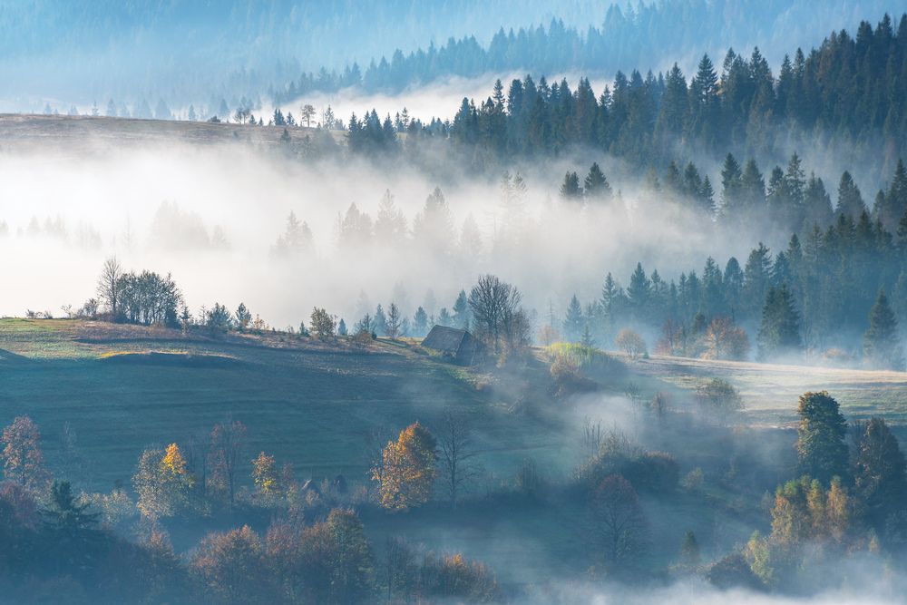 Photograph by Крицак Ольга