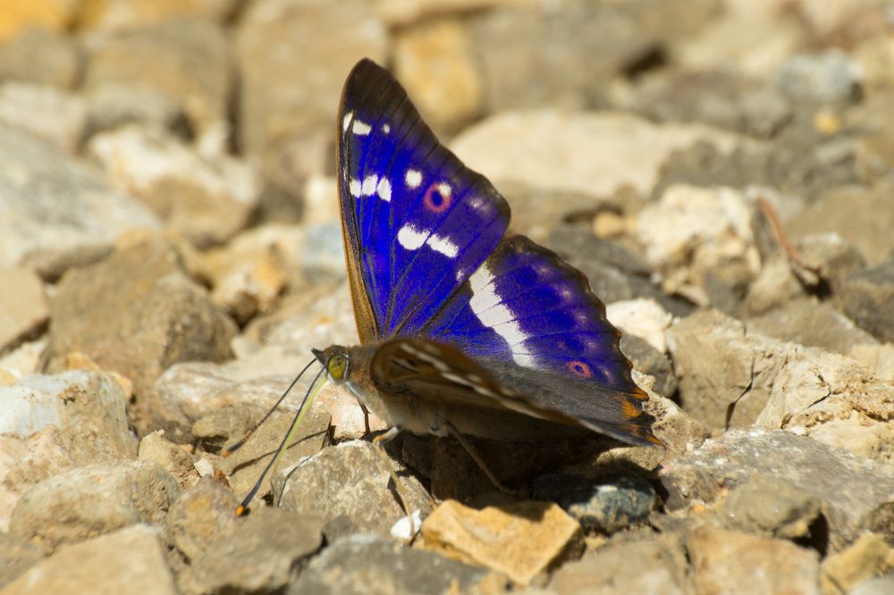 Photograph by Сергей Алексеев