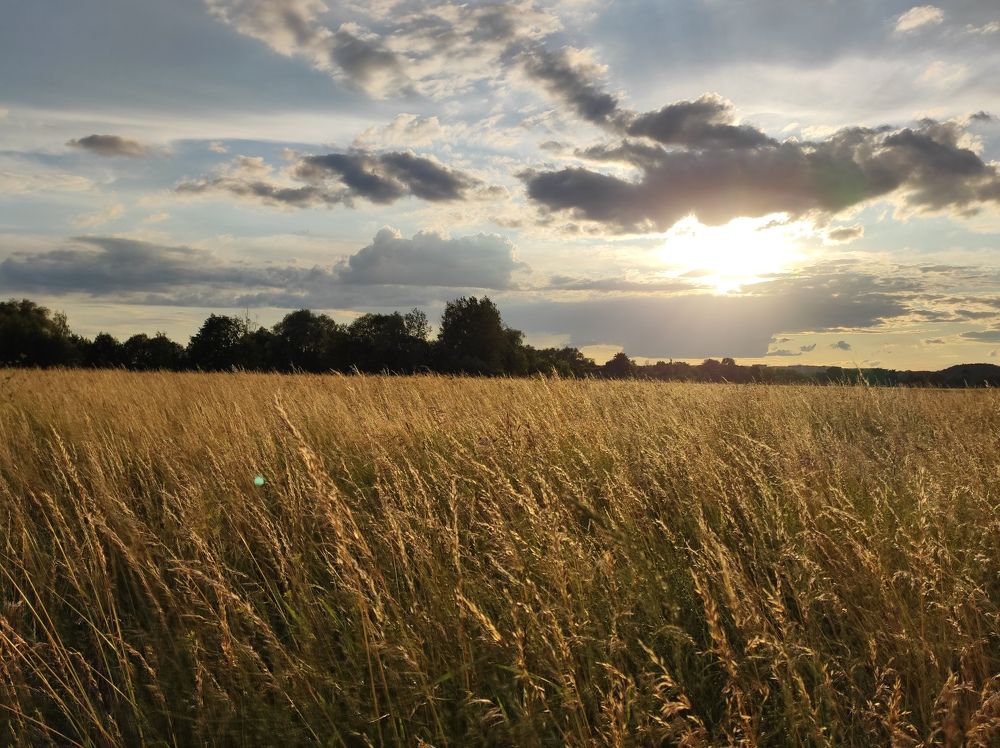 Photograph by Полина Белокопытова