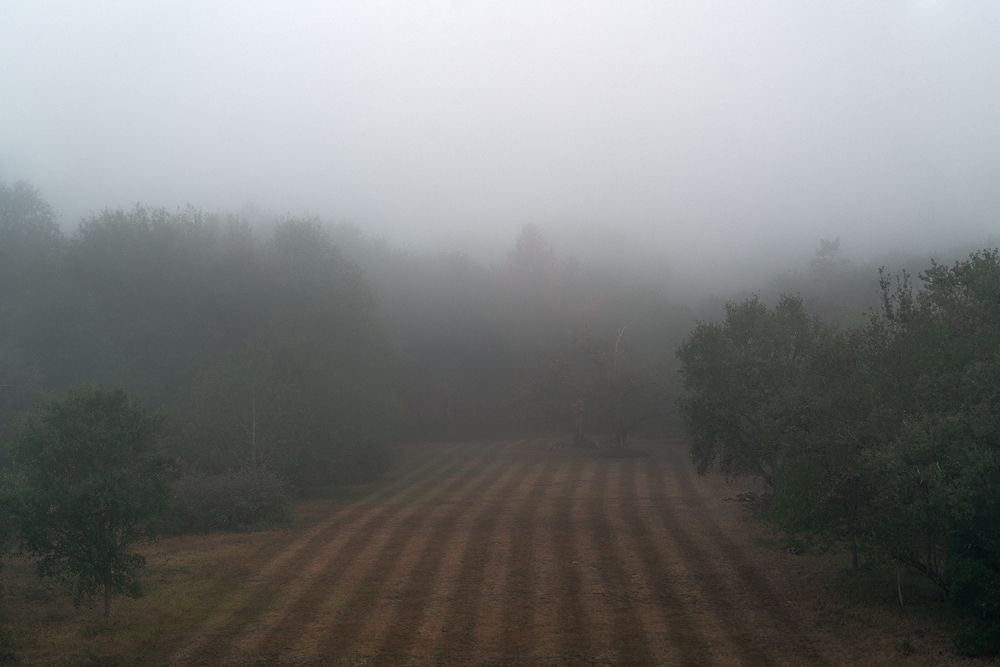 Photograph by Oxana Berezovskaya