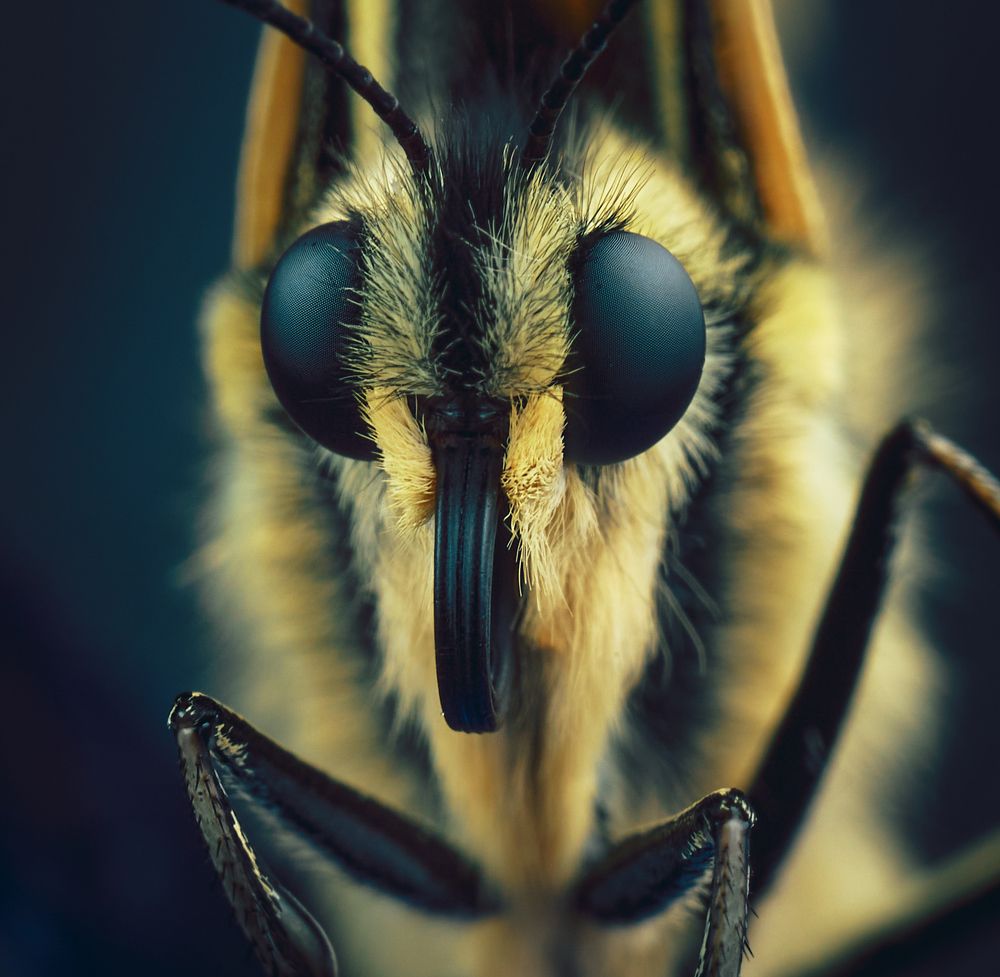 Photograph by Mikhail Khmelevskiy