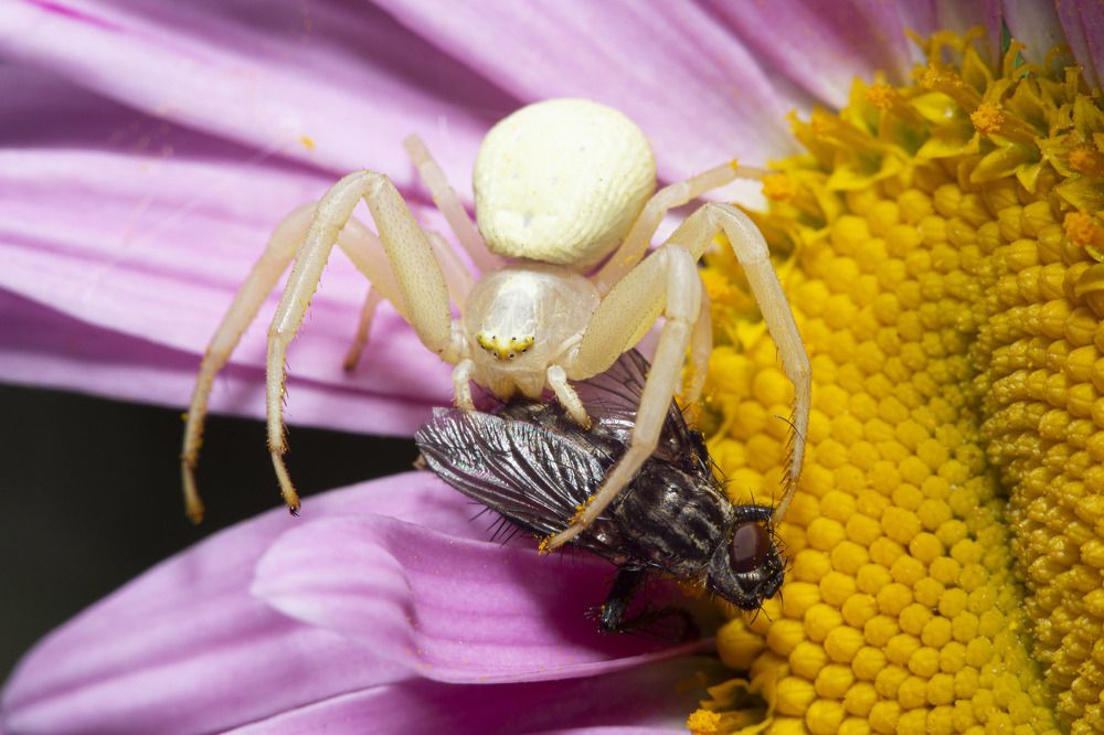 Фотография автора Марина Кулакова
