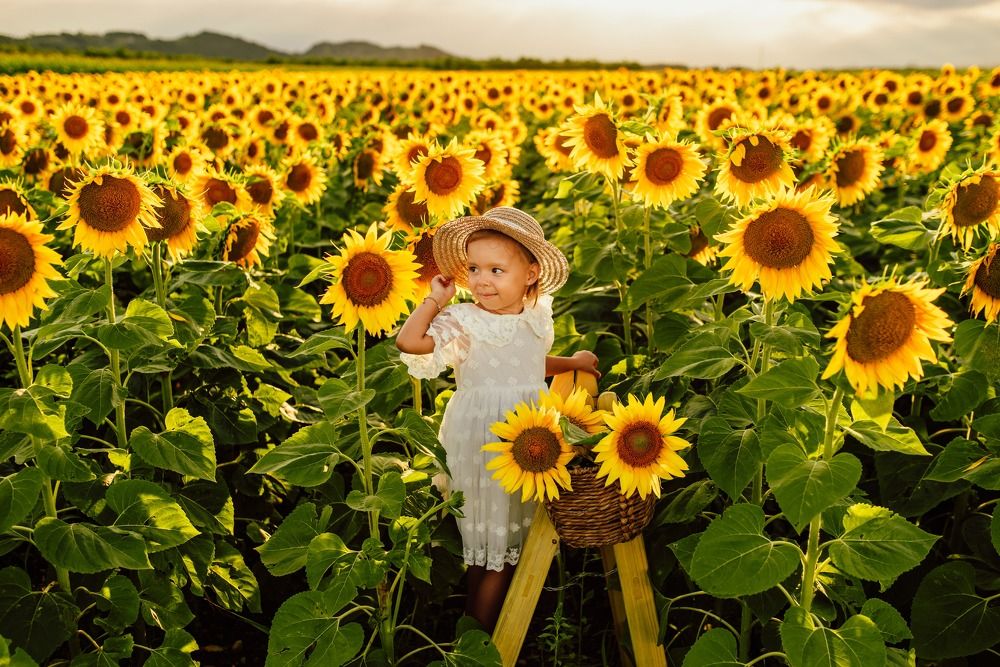 Photograph by Bojan Migac