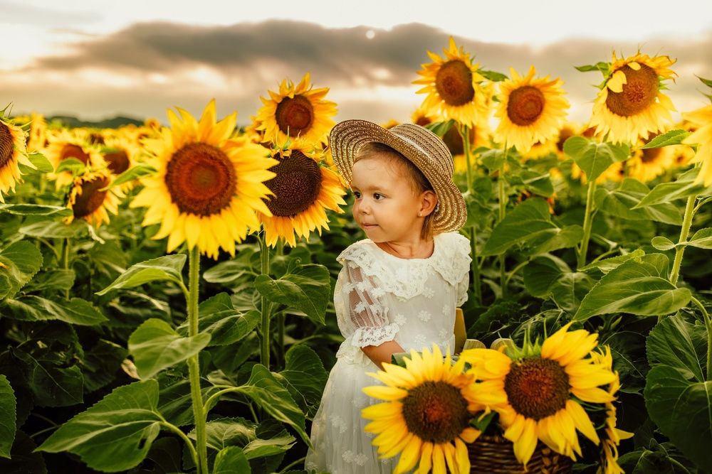 Photograph by Bojan Migac