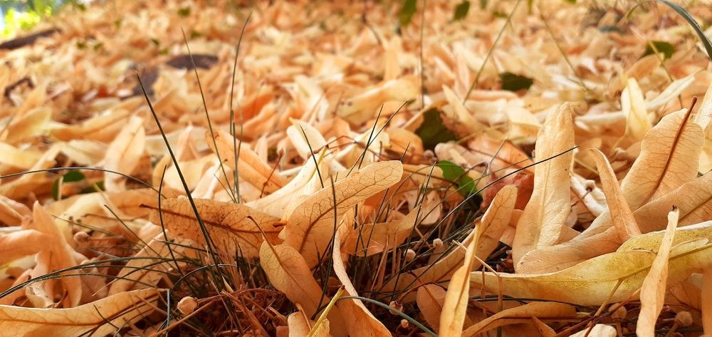 Photograph by Евгения Ульянова