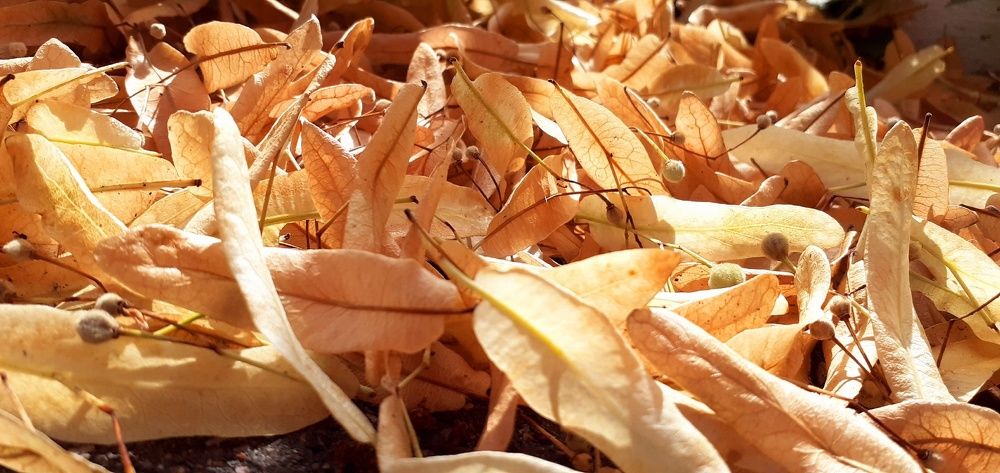 Photograph by Евгения Ульянова