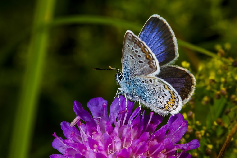 Photograph by Александр Ермаченко