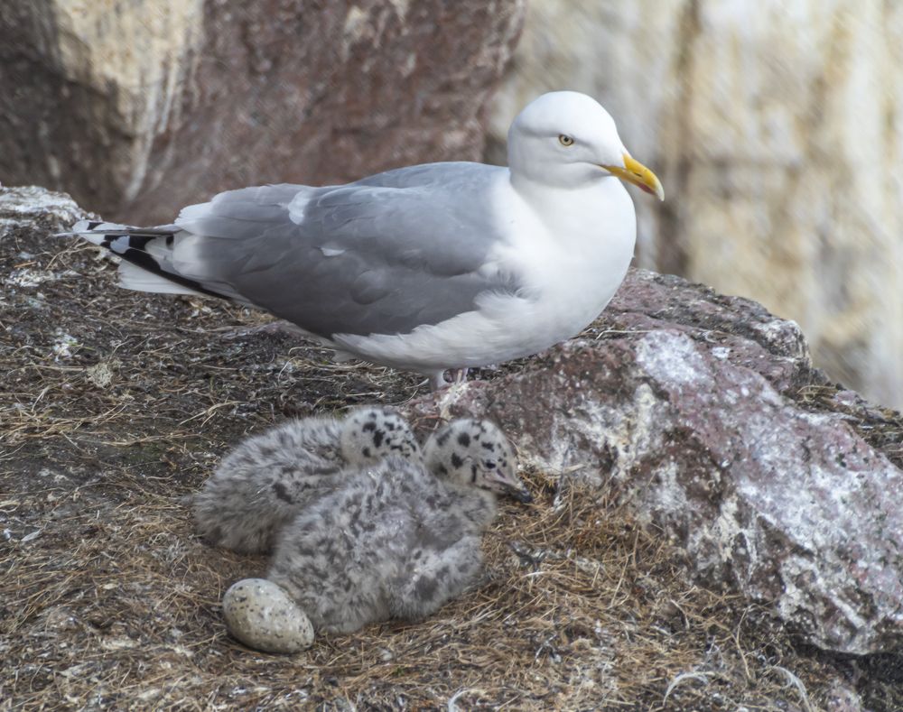 Photograph by Савчук Сергей