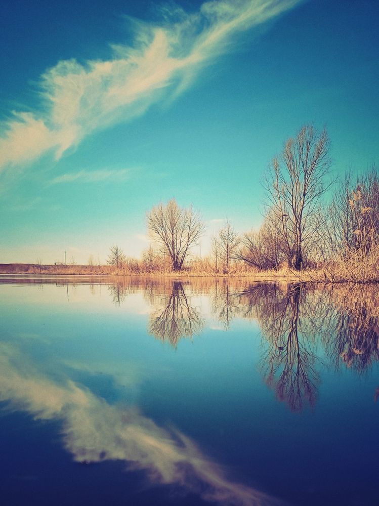 Photograph by Ksenia Paramonova