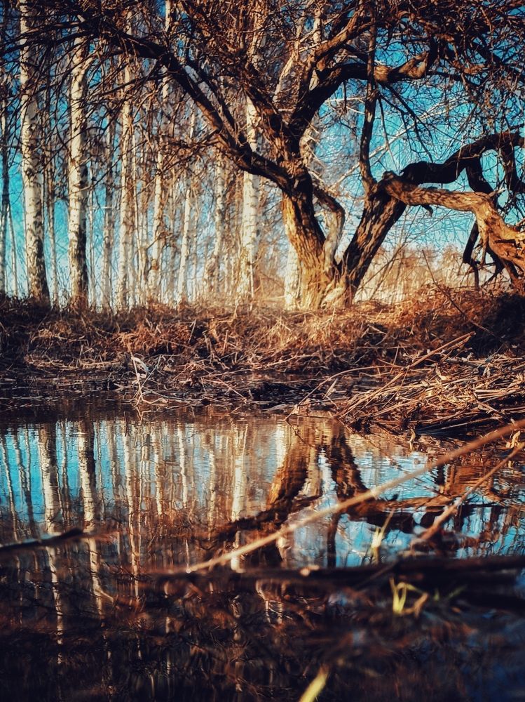 Photograph by Ksenia Paramonova