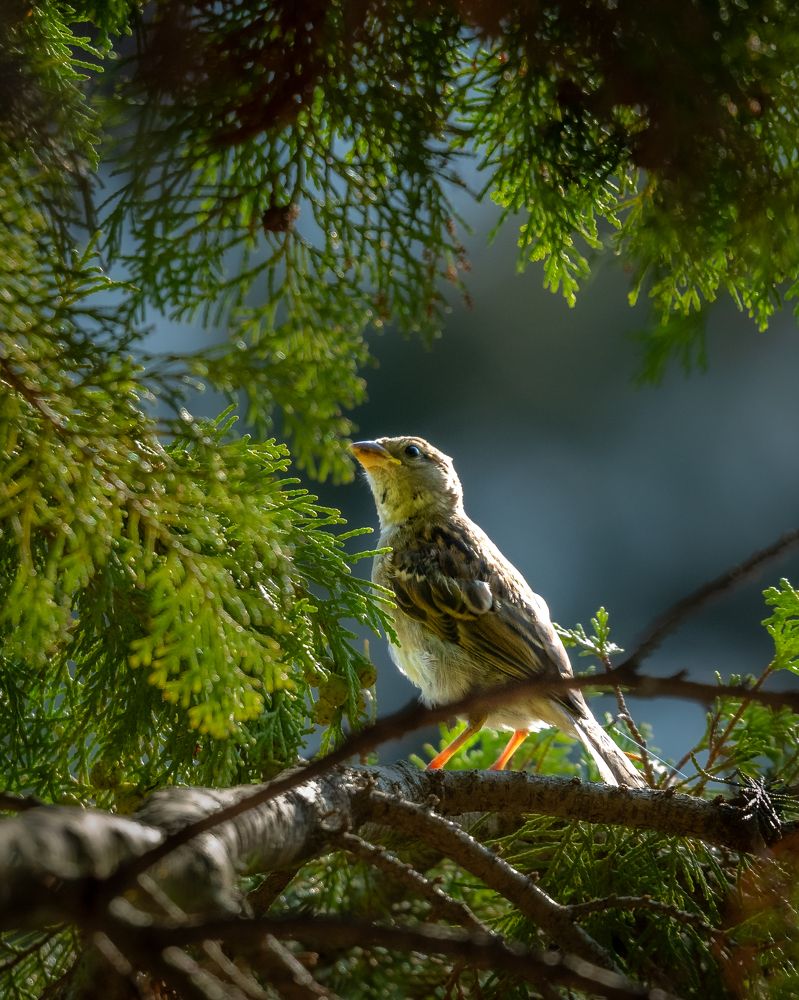 Photograph by Vadim Heinz