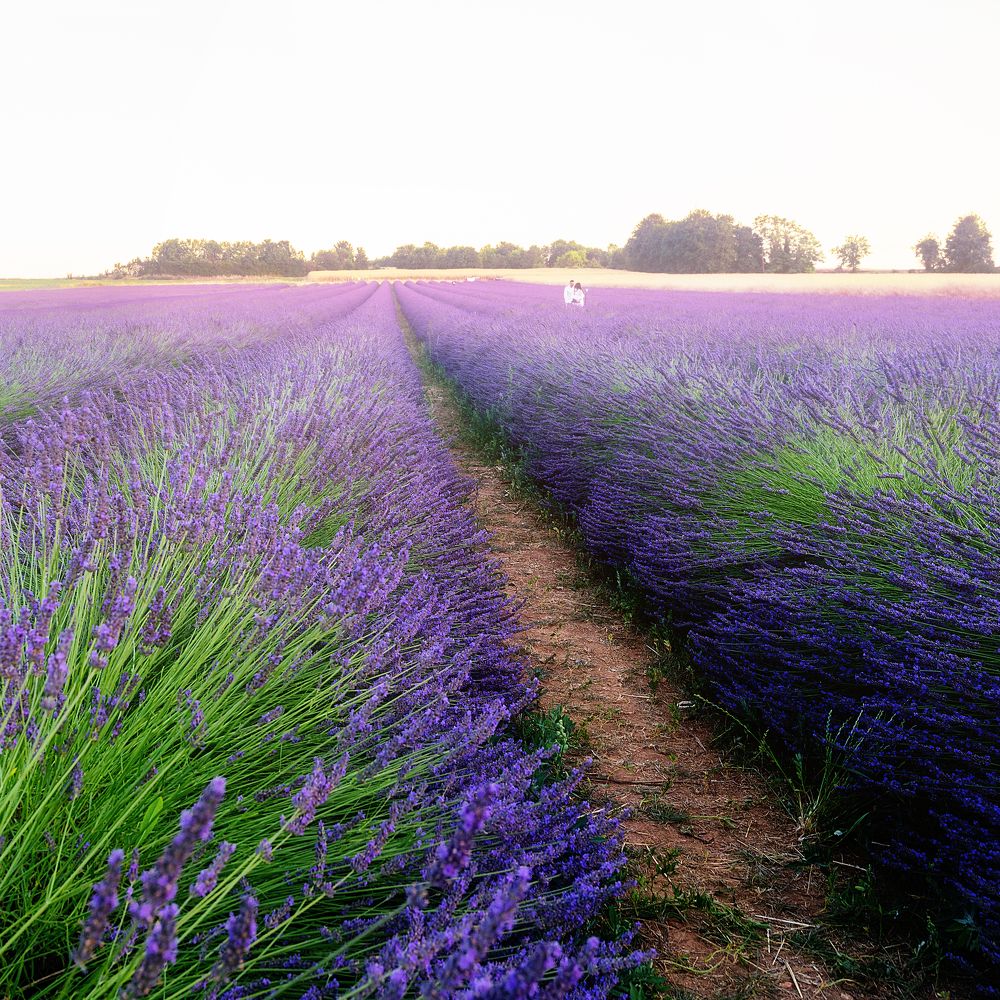 Photograph by Vadim Heinz