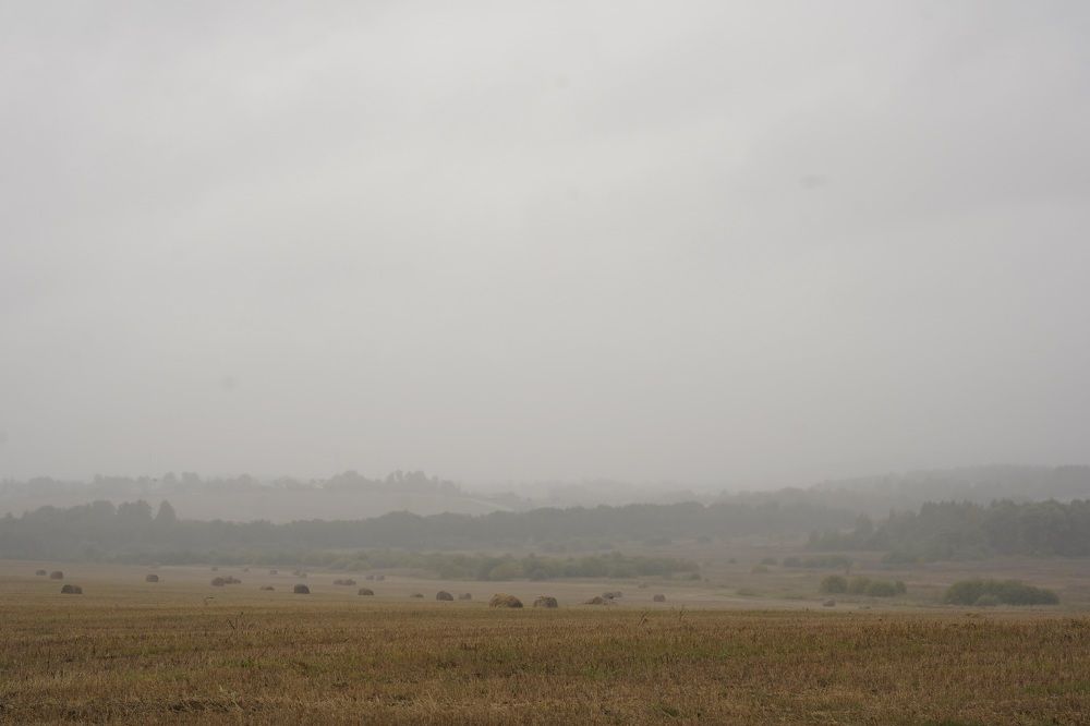 Photograph by Марина Аникина