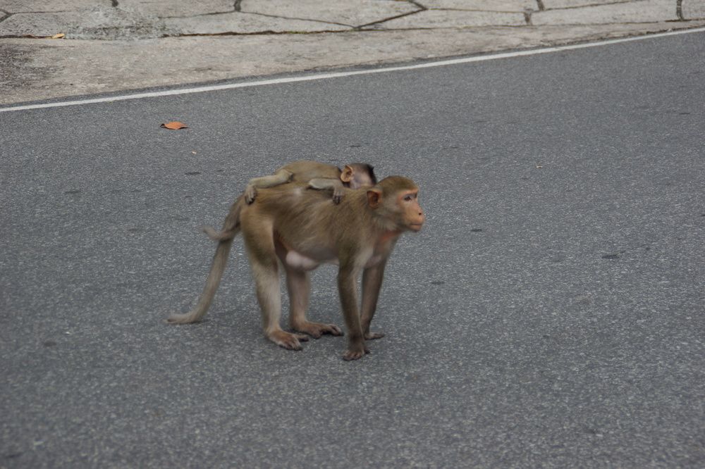 Photograph by Андрей Елькин