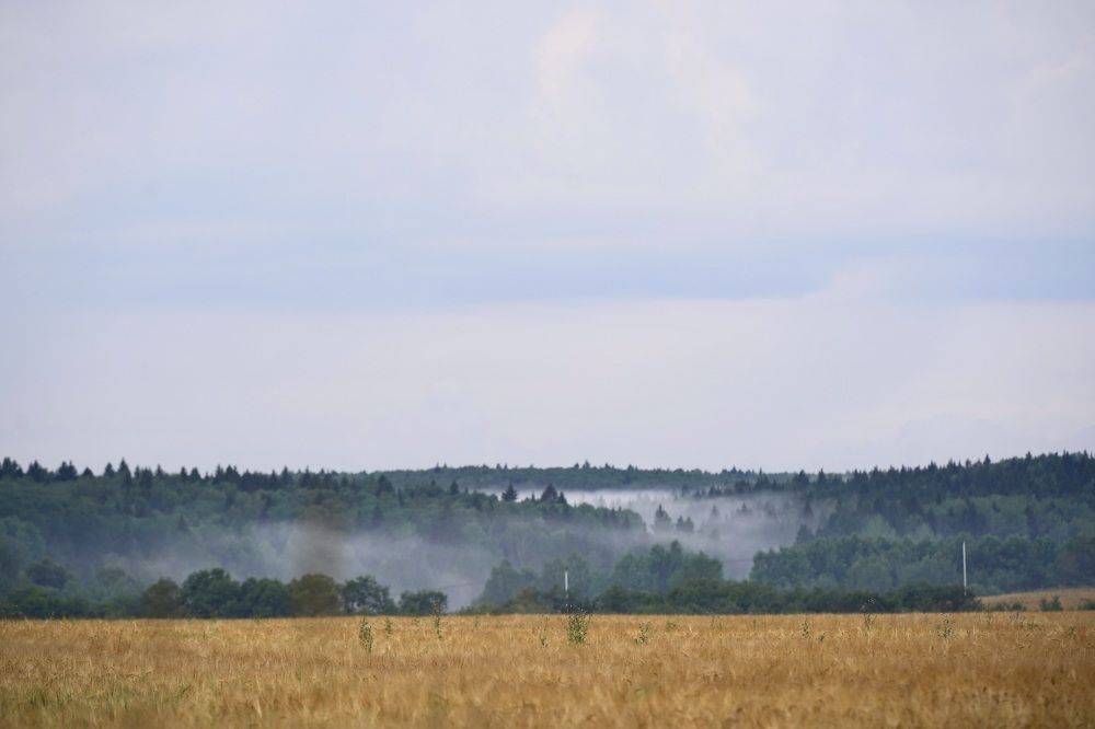 Photograph by Марина Аникина