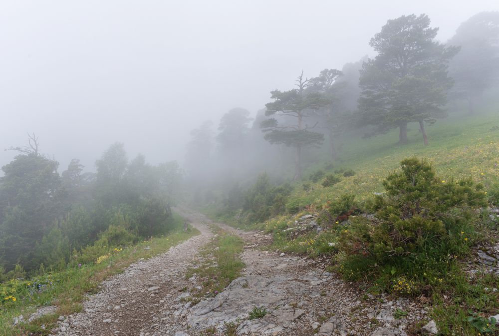 Photograph by Валерий Одинцов