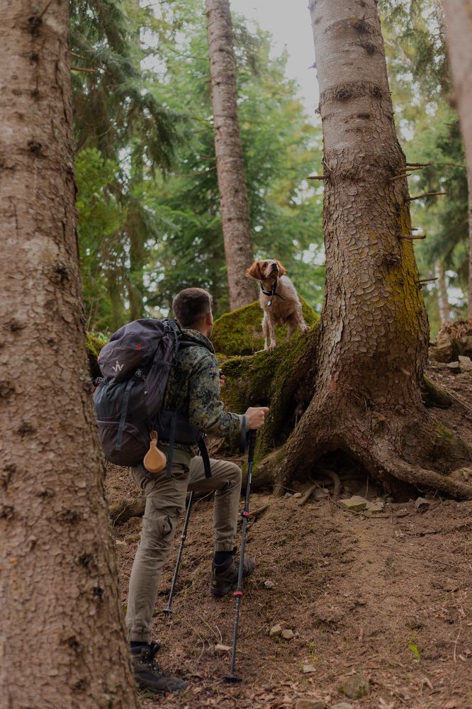 Photograph by Лавренкова Нино