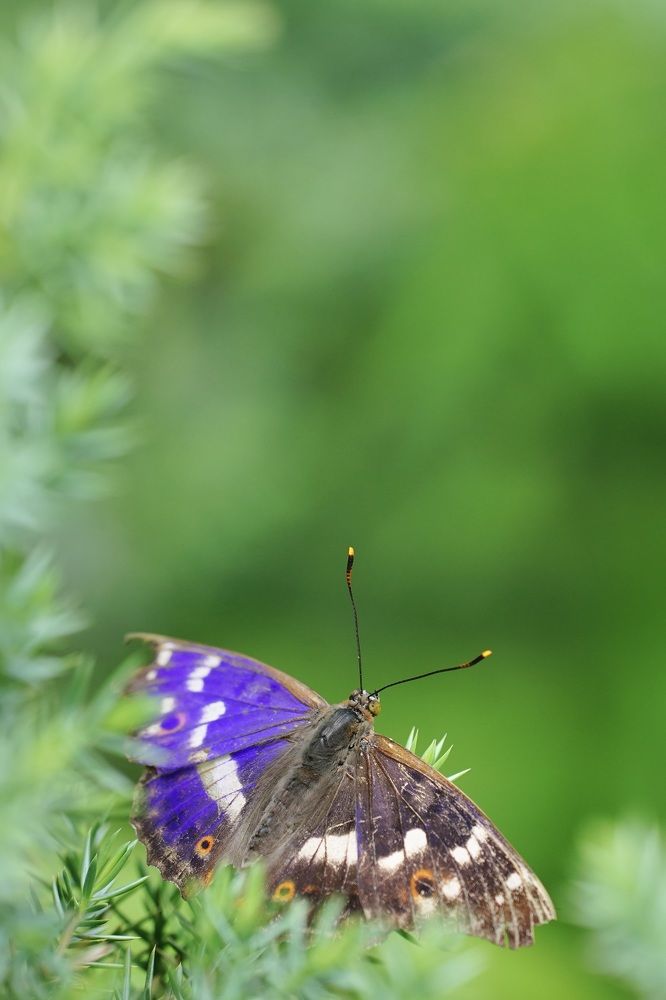 Photograph by Марина Аникина