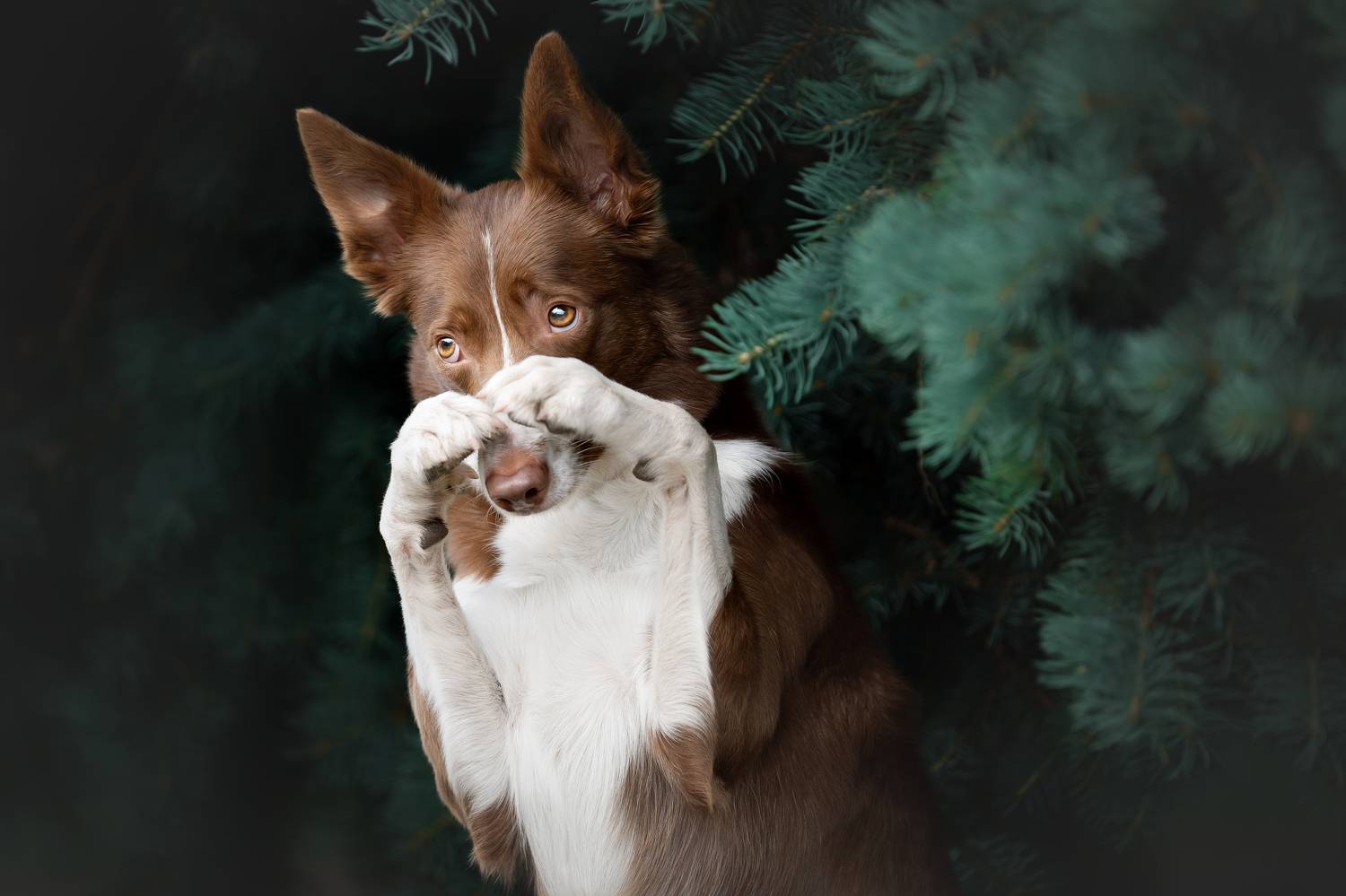 Фотография #9322764