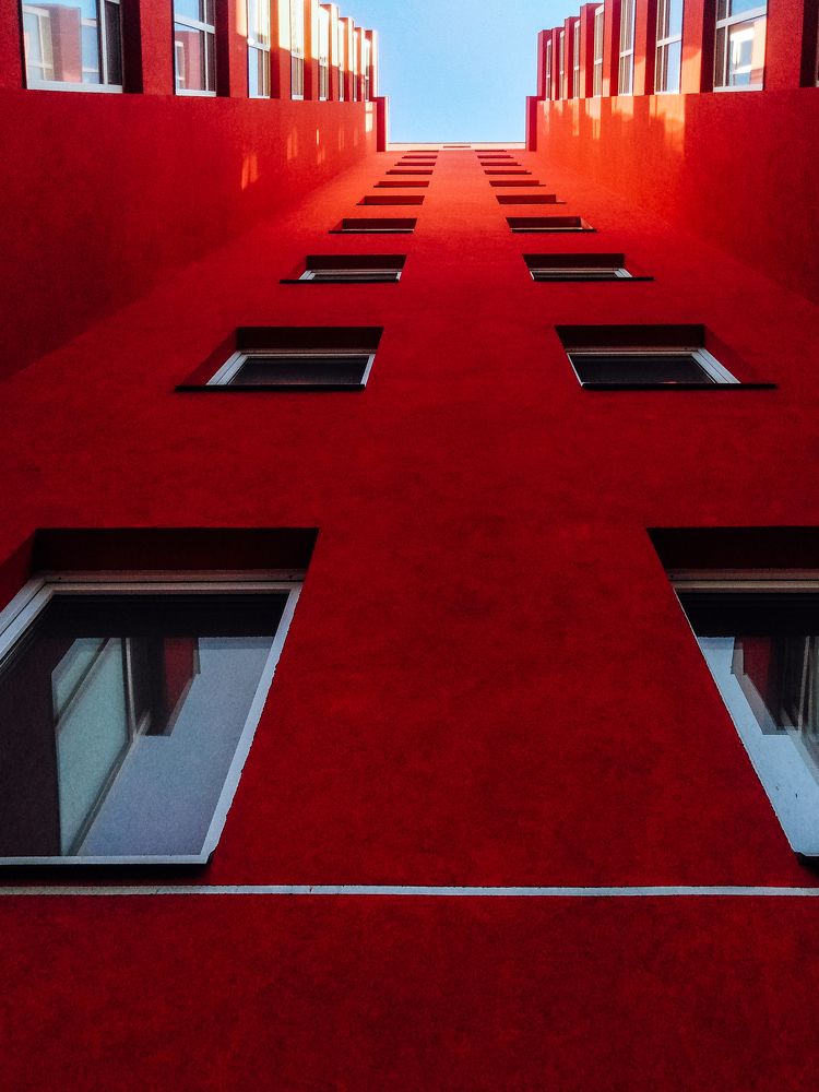 Photograph by Нелли Золотая