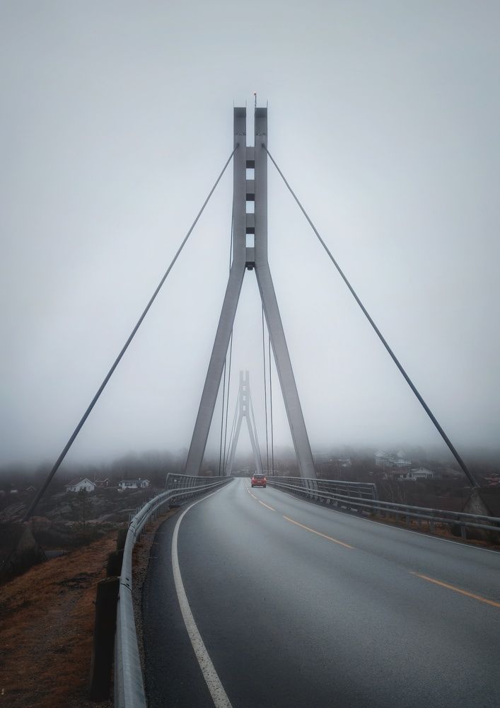 Фотография автора Alina Filimonova