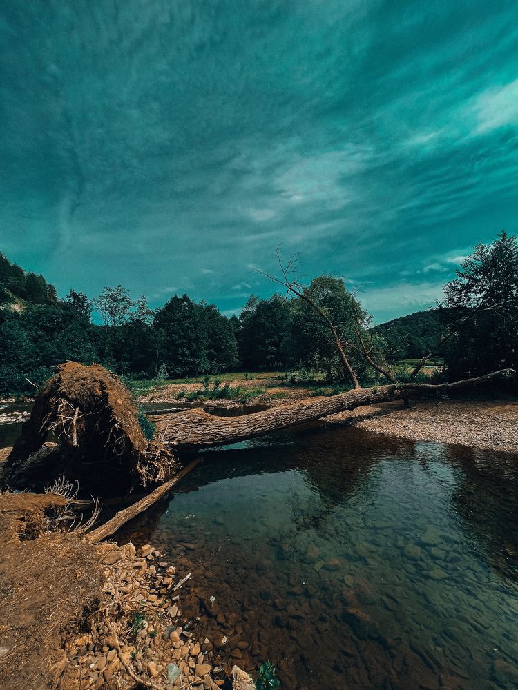 Photograph by Эльвира Мерзлякова